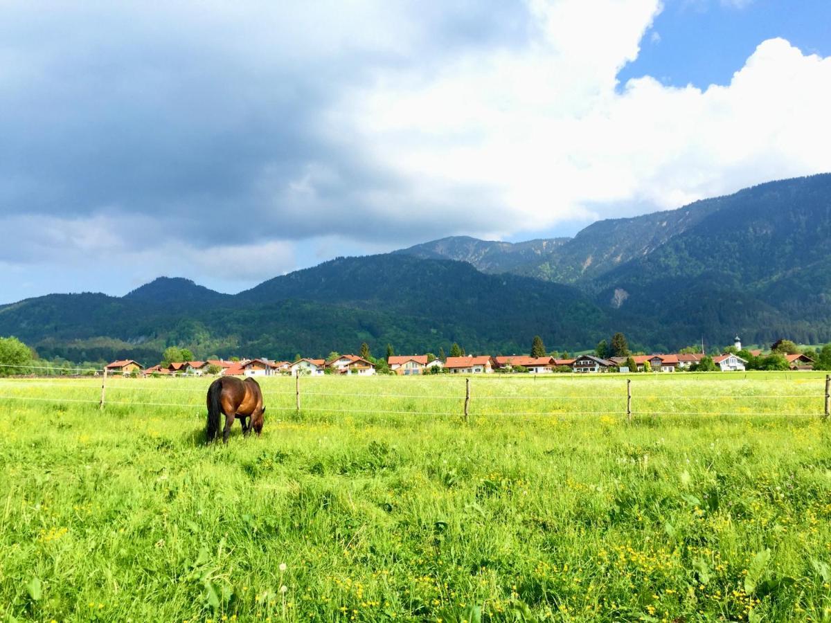 Im Herzen Von Ohlstadt Und Am Fusse Des Heimgartens Buitenkant foto
